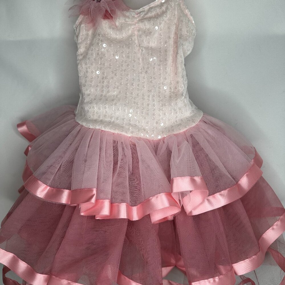 Pink Tutu with Sequin Bodice